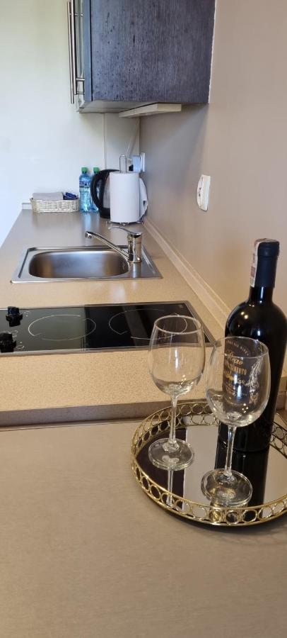 Apartamenty Przy Porcie 54M2 Oraz 31M2 Z Tarasem Венгожево Екстер'єр фото